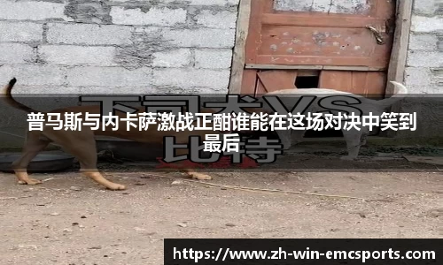 emc易倍