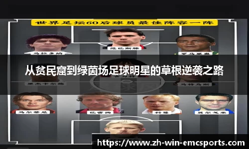 emc易倍体育官网